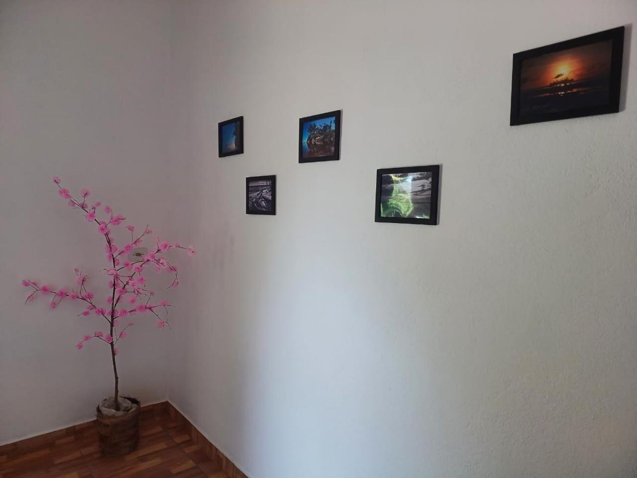 Willa Casa Jubarte Cumuruxatiba Zewnętrze zdjęcie